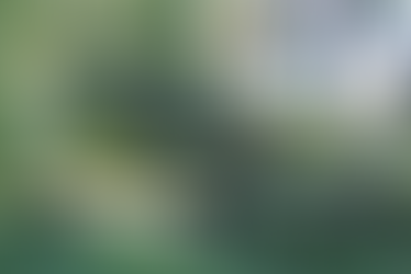 UN ENVIRONMENT PROGRAM The Living Chapel Unites Concepts of Nature