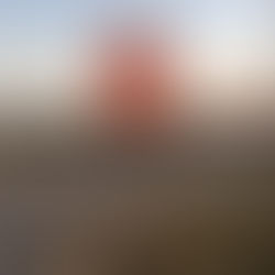 Job 37:  Stand Still a Minute