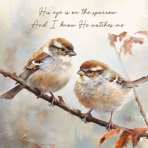 Genesis 12: Sparrows & Divine Favor
