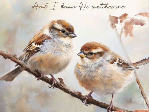 Genesis 12: Sparrows & Divine Favor