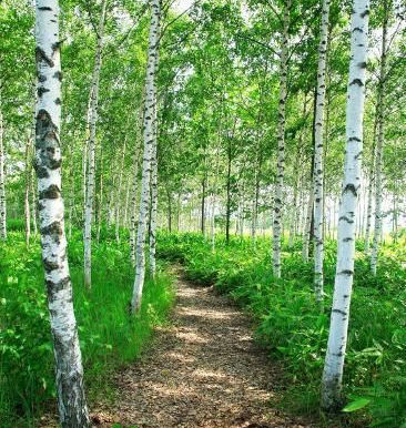 Genesis 14: There is value in separation