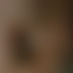 Leviticus 13:  Jesus (our Priest):  our Mediator, Healer, Doctor, Savior.