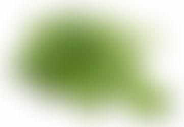 Bitter = Better Digestion