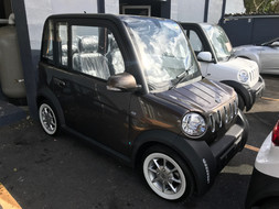 New Bermi's Arrived in Bermy