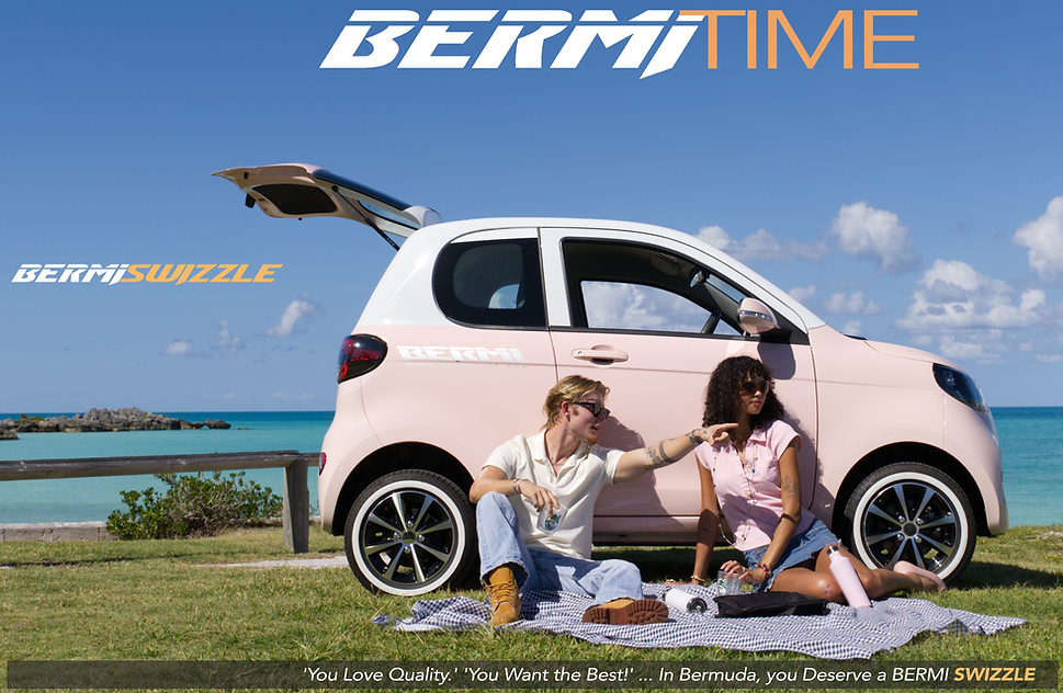 BERMI WEB2.png