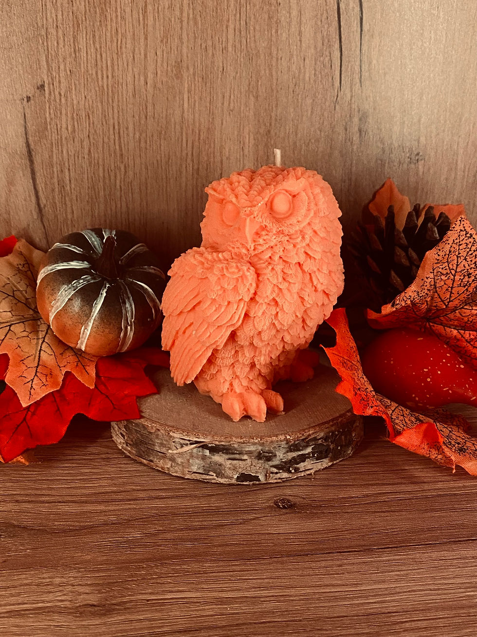 Miniatura: Świeca sowa