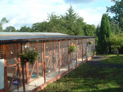 ribble-valley-kennels-cattery