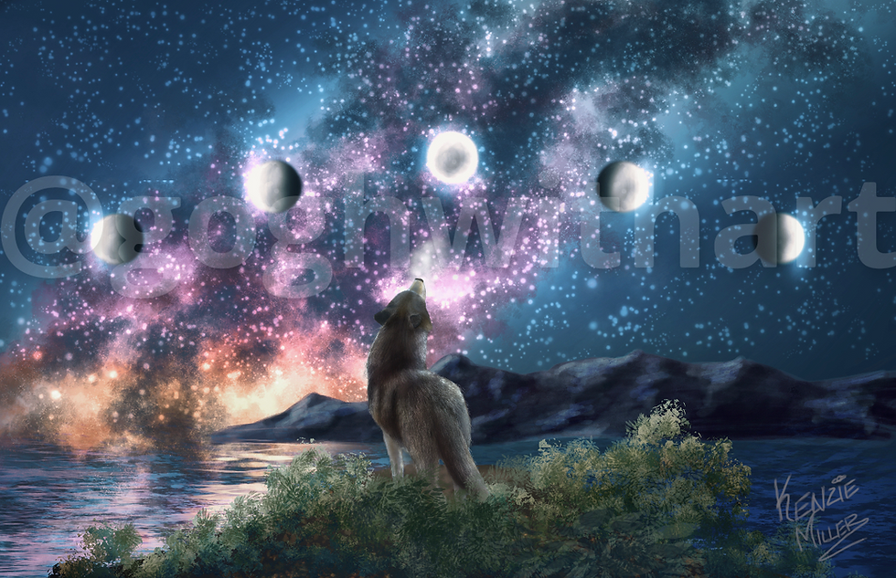 Miniatura: "Beloved Lone Wolf" Print