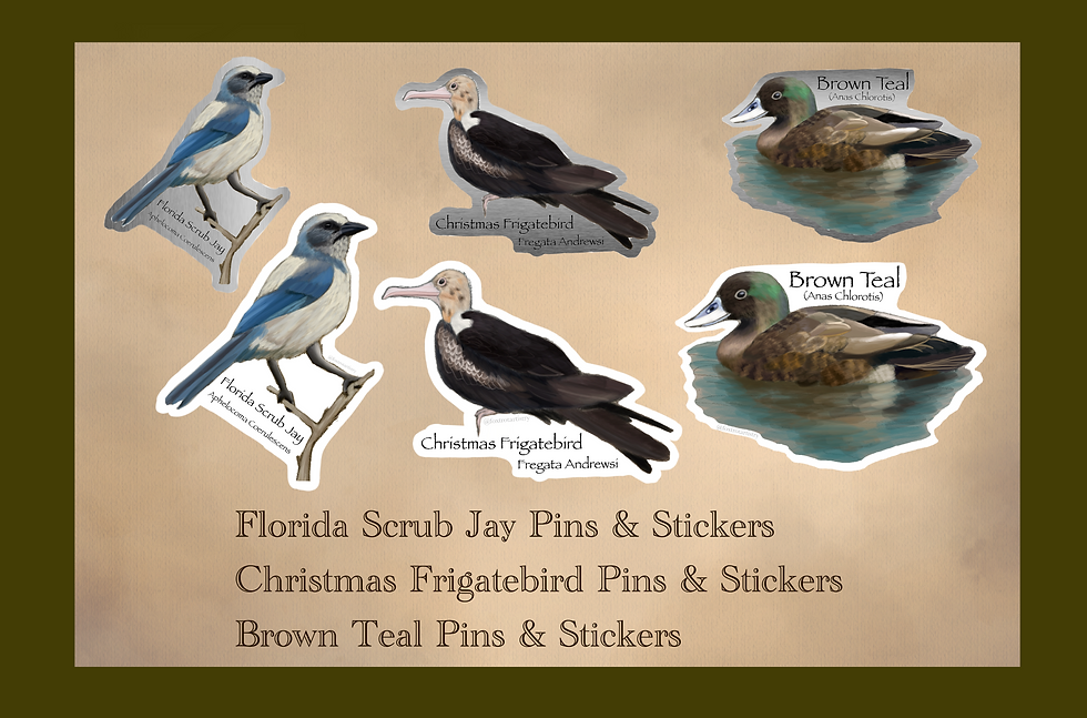 Miniature : Avian Pins & Stickers (PREORDER)