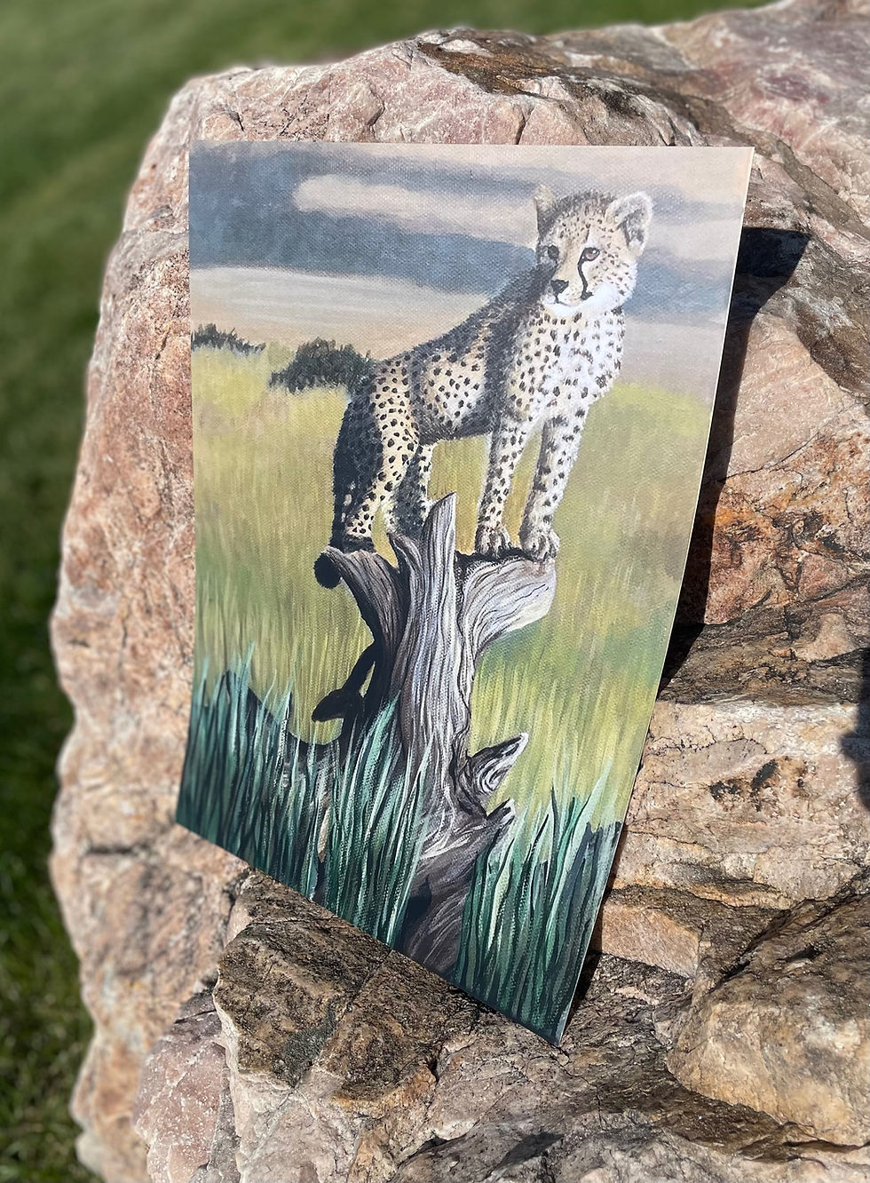 Miniature : Big cat print bundle