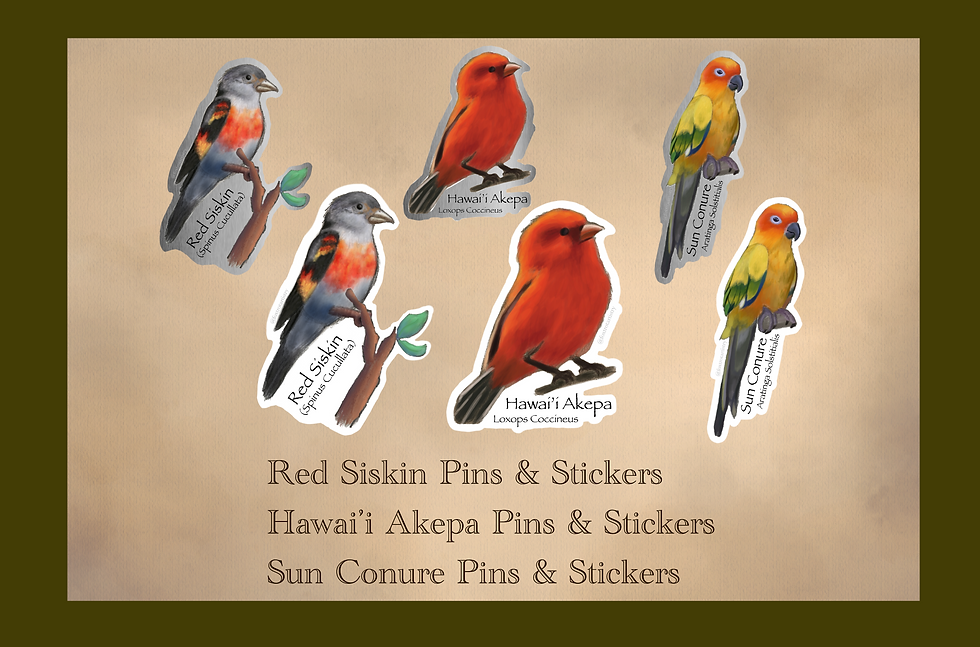 Thumbnail: Avian Pins & Stickers (PREORDER)