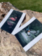 Amazonian bird print bundle