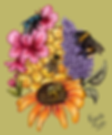 IMG_8073.png