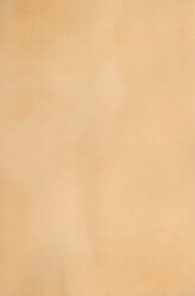 IMG_2662.png