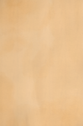 IMG_2662.png
