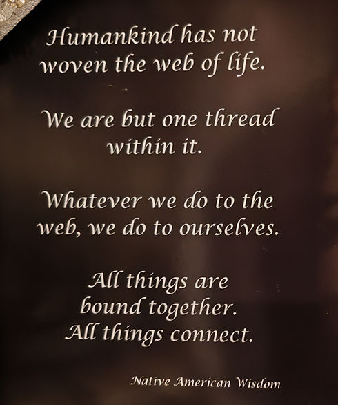 native American wisdom quote