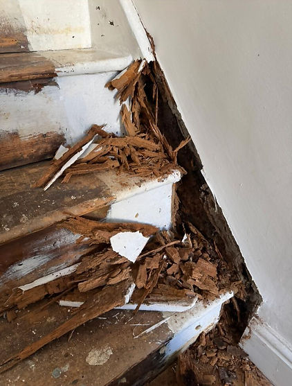 rotten section of a staircase