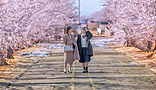 32923415_l_edited_edited.jpg