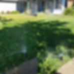 Brentwood Plumbing Specialists