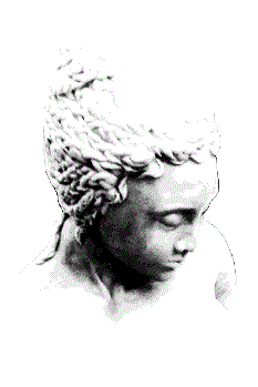 face (1).gif