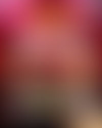 Moda dos Traídos dia 2/06 com a Banda Pancanejo