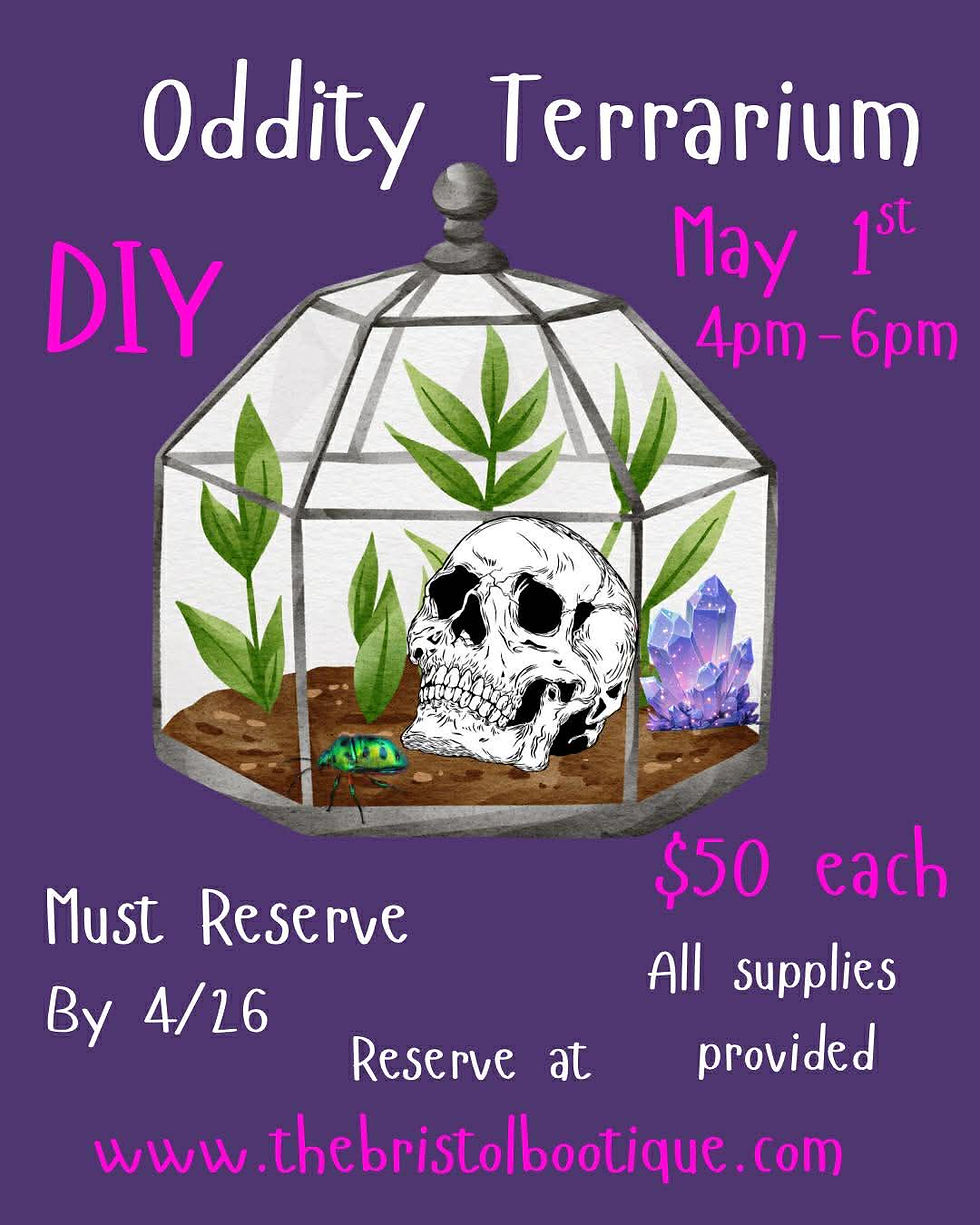 Oddity Terrarium DIY