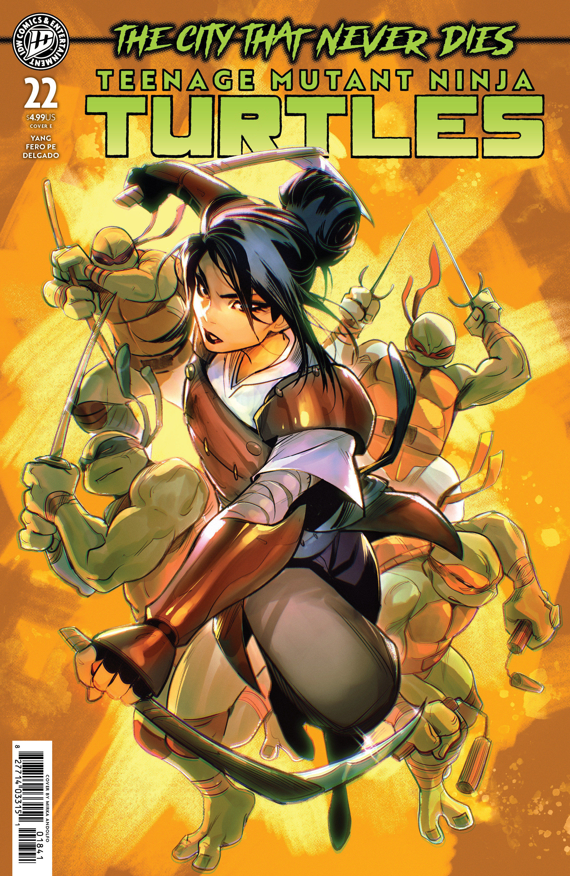 Teenage Mutant Ninja Turtles #22 Var E (Andolfo)
