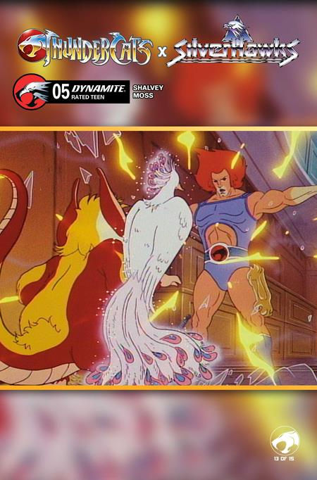 Thundercats X Silverhawks #5 Cvr E Art Var
