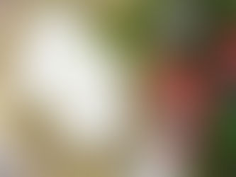 "Spotkanie Opłatkowe_2021"