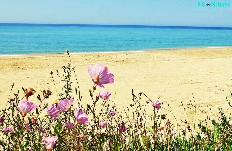 Summer