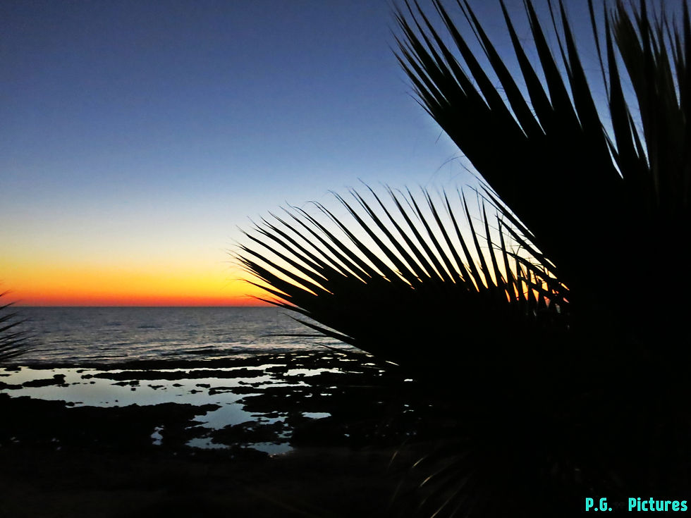Sunrise