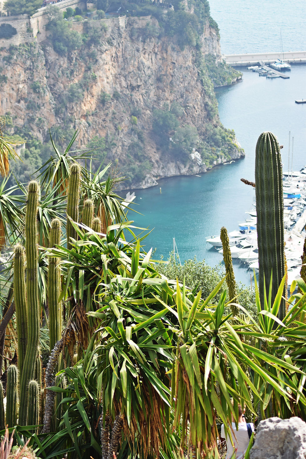 Panorama from Exotic Garden