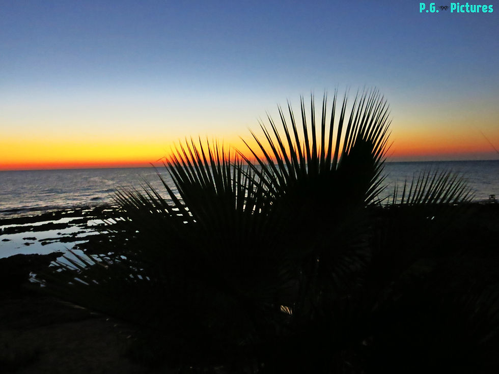 Sunrise