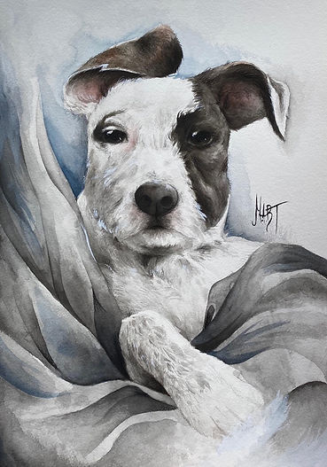 dog commission 4.jpeg