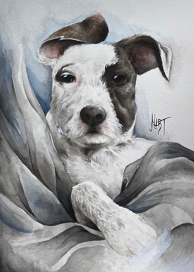 dog commission 4.jpeg
