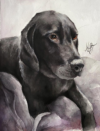 dog commission 6.jpeg