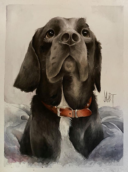 dog commision 3.jpeg