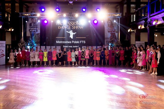 Professional Dance Show 2016