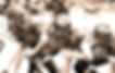 stefan%2525252520football_edited_edited_edited_edited_edited.jpg