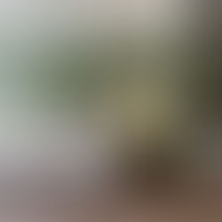 Grand Mercure Copacabana