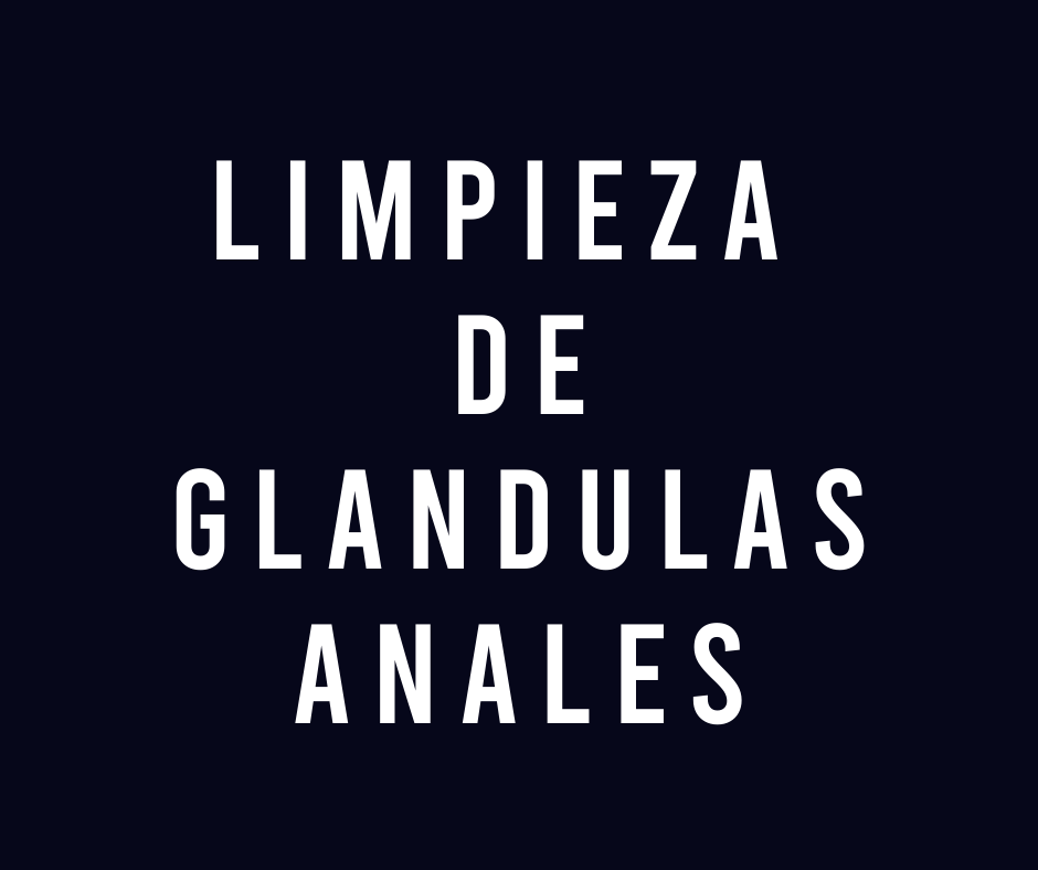 Limpieza de Glándulas Anales