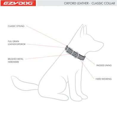 Miniatura: Oxford Leather collar clasico