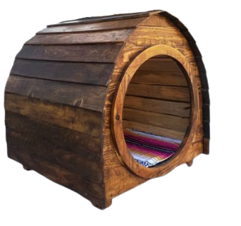 image-removebg-preview (11).png