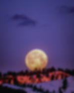 Full Moon Meeting - Howling at the Wolf Moon