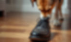 A dog sniffing a smelly shoe.