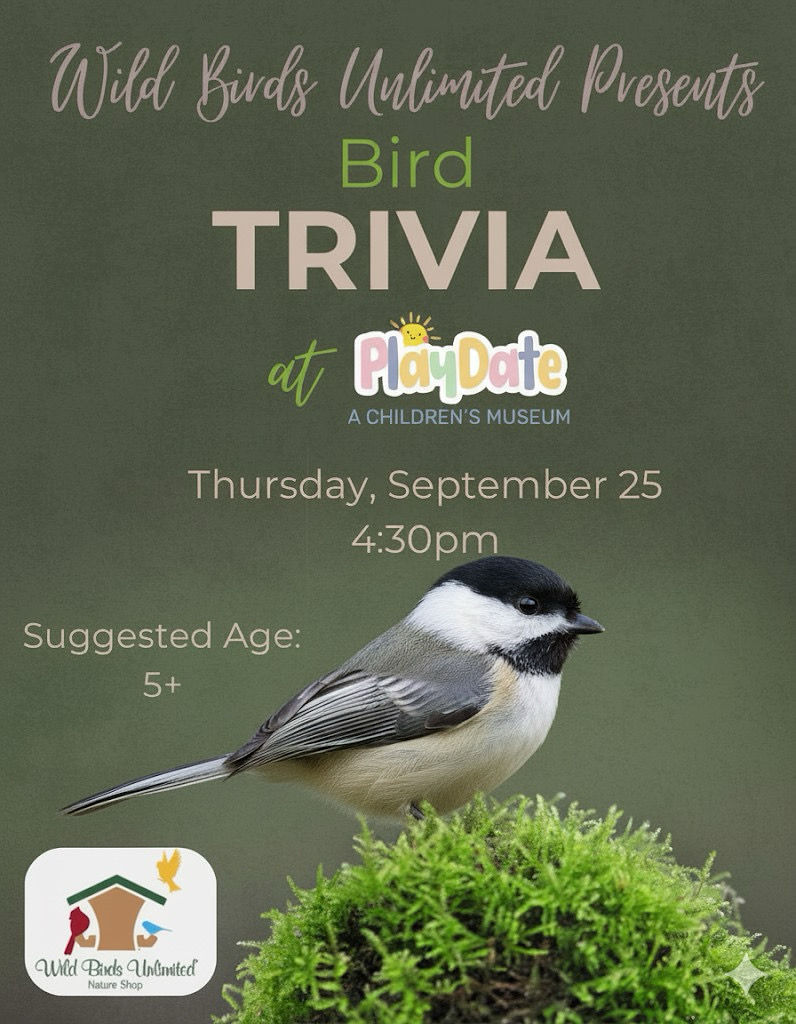 Bird Trivia 