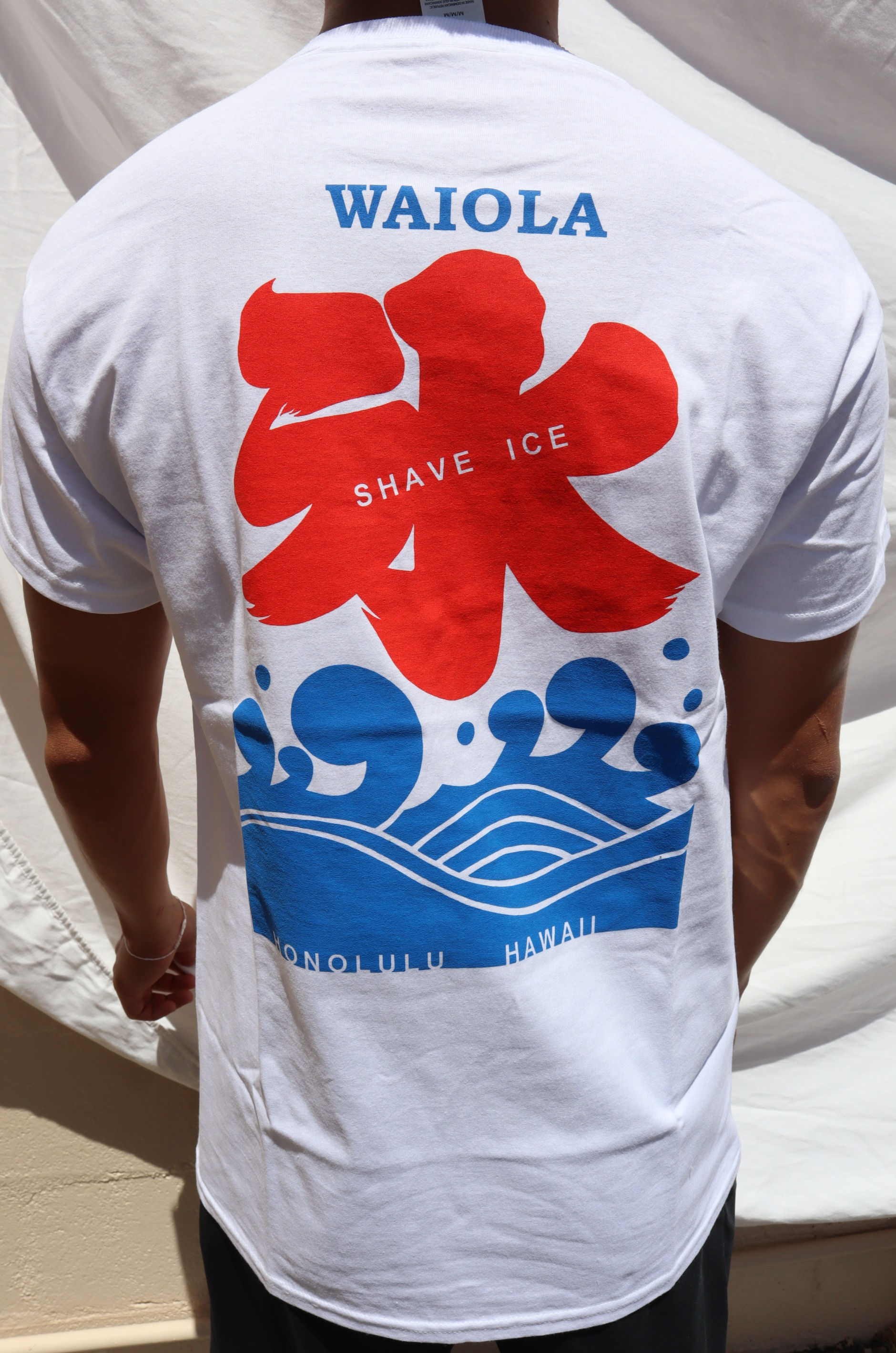 Waiola T-Shirt- Ice Kanji 氷