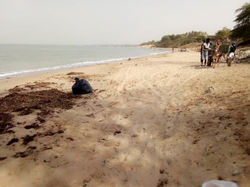 Der Müll wird mit einem Eselkarrenb abgeholt