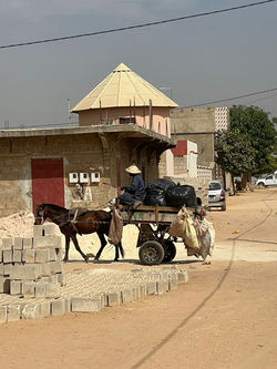 dc717628-cc0b-4be1-b1e7-fd7e240af4b9