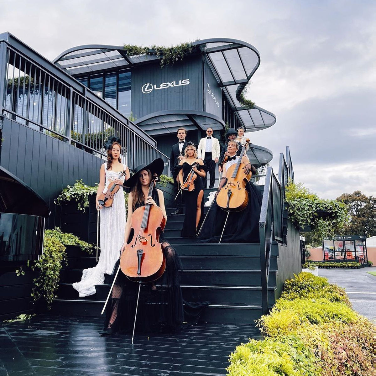 Luxe Strings photo 1